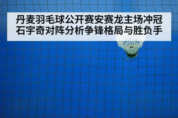 badminton shuttlecock net play