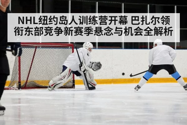 ice hockey players competing